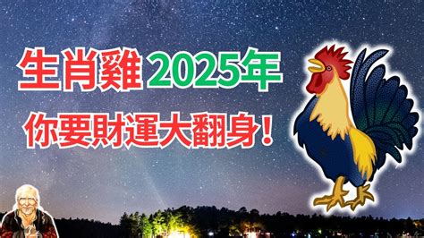 屬雞|2025 肖雞流年運程 